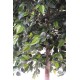 FICUS artificiel NATASJA tree 270 cm