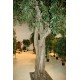 FICUS artificiel GEANT TREE 350 et 650 cm