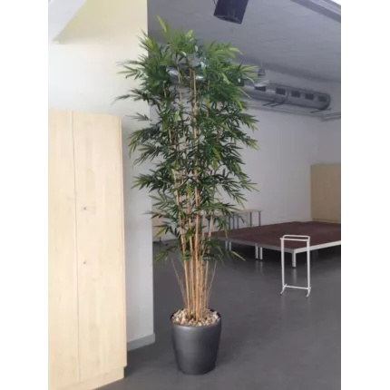 mis en situation BAMBOU artificiel NEW 300 cm