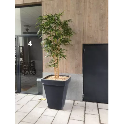 mis en situation BAMBOU artificiel NEW 240 cm