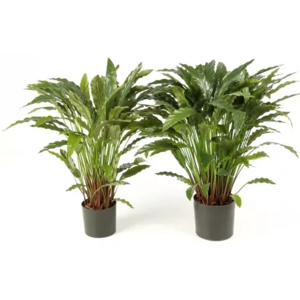 CALATHEA artificiel 84 et 86 cm
