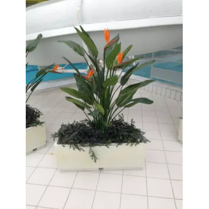 STRELIZIA  artificiel 95 et 150cm