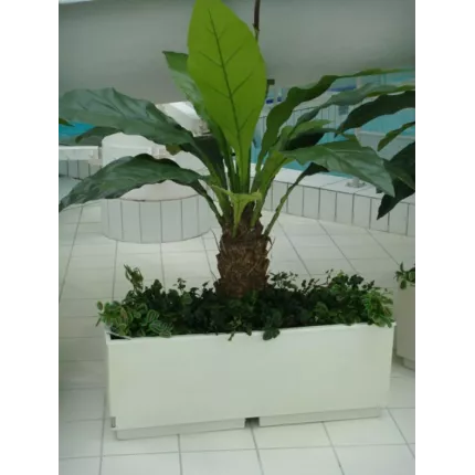 ANTHURIUM artificiel JUNGLE KING