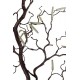 Branche Tortuosa 108 cm