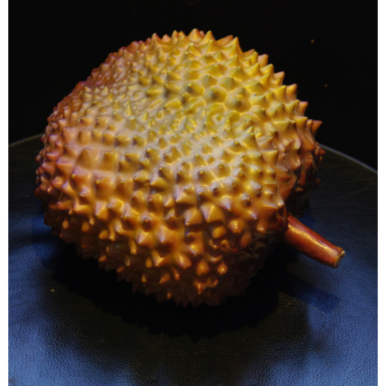 fruit DURIAN artificiel 23 cm