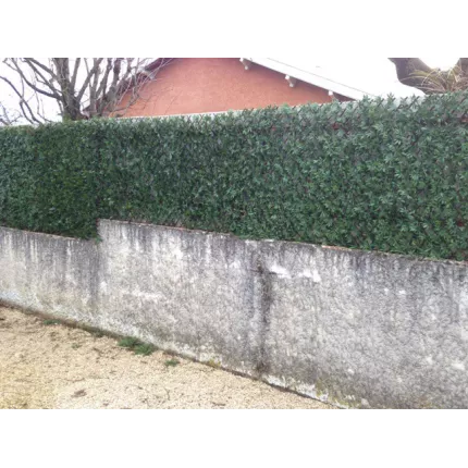 installation fini Palissade Aralia artificielle 2 m x 1 m modulable