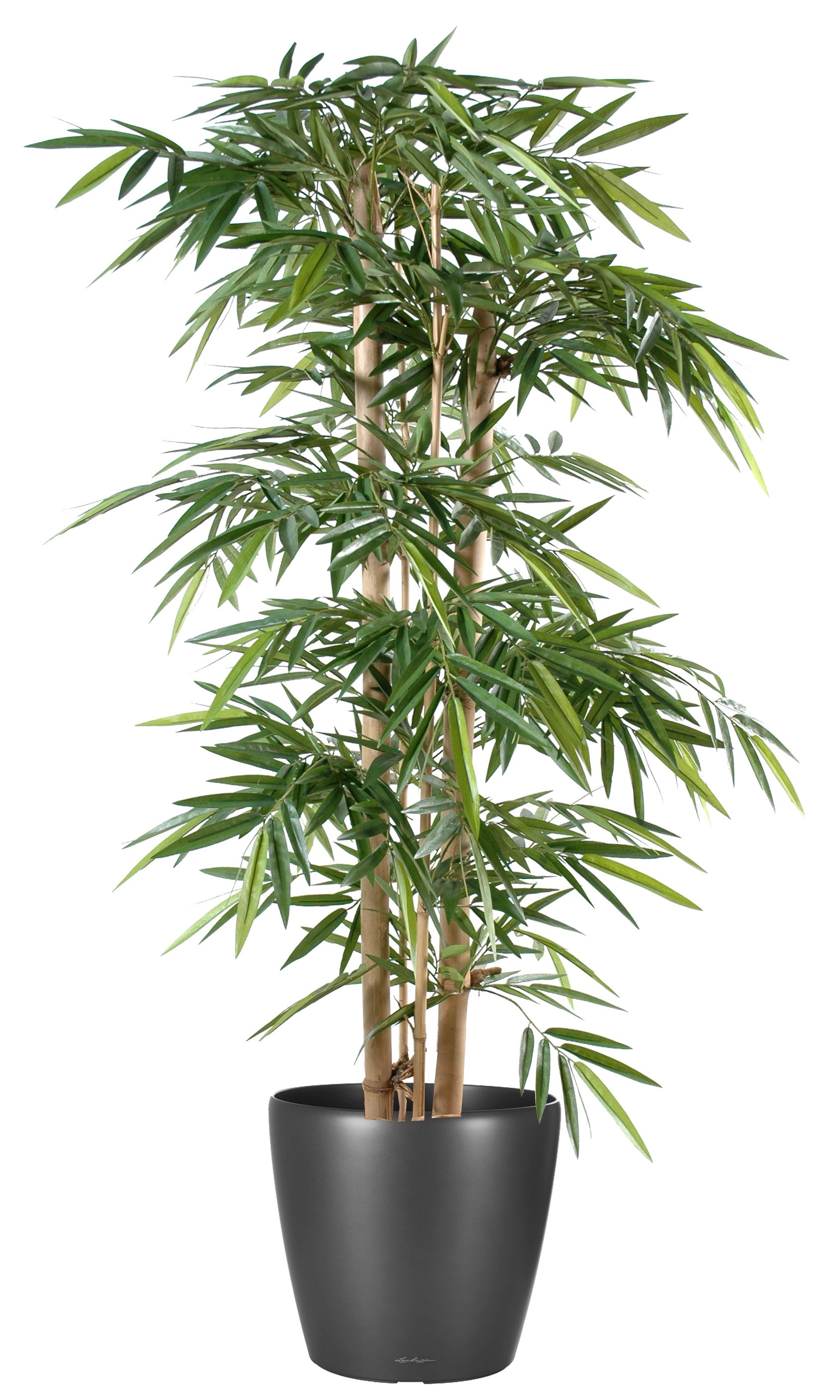 Plante verte artificielle bambou