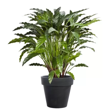 CALATHEA artificiel 84 et 86 cm en pot