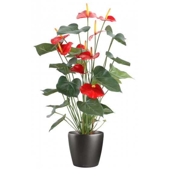ANTHURIUM ROUGE en pot 75 cm Plantes artificielles, Plantes Fleuries  artificielles ✿ Reflets Nature Lyon ✿
