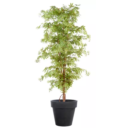 ERABLE artificiel DE LUXE (Aralia)  150 et 180 cm gold en pot