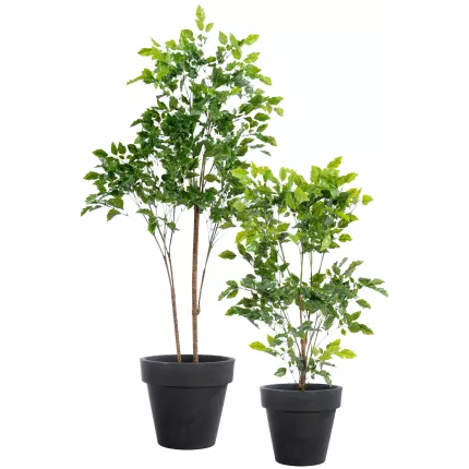 PALISSANDRE artificiel plast 120 et 175 cm en pot