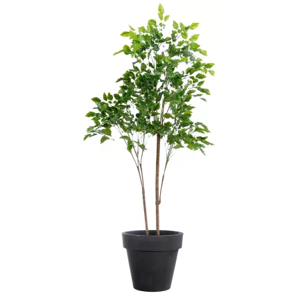 PALISSANDRE artificiel plast 175 cm en pot