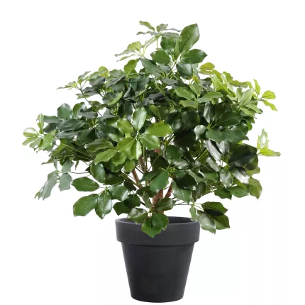 SCHEFFLERA artificiel BUISSON  90 cm