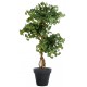 GINGKO BILOBA artificiel bonsaï 150 cm