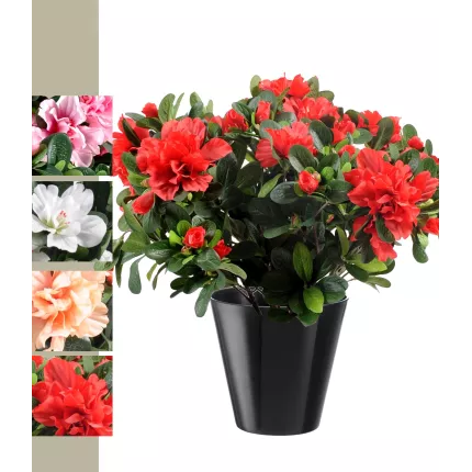 AZALEE artificielle 30 cm