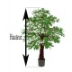 GINGKO BILOBA artificiel bonsaï 150 cm