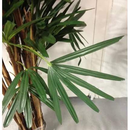 feuille PALMIER artificiel RAPHIS LADY PALM 150 à 210 cm