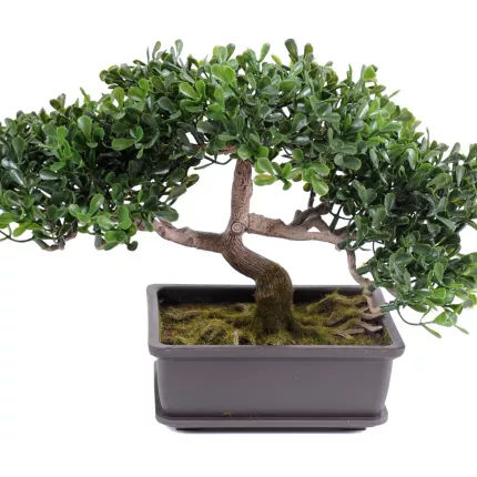 THE MINI BONSAI artificiel 22 cm de face