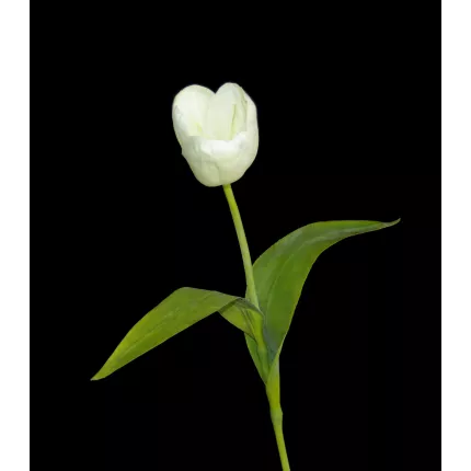 TULIPE artificielle blanche - H37 cm