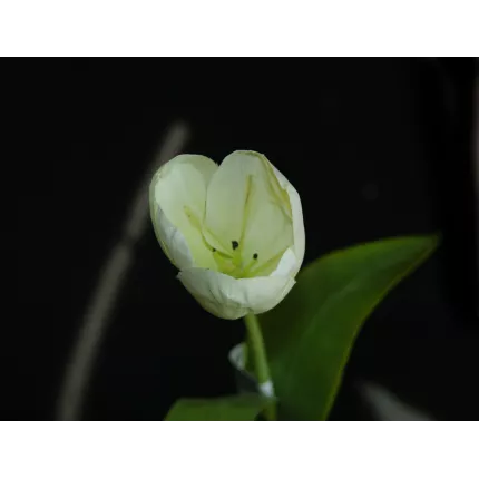 fleur TULIPE artificielle blanche- H37 cm