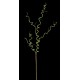 Branche bouclée 96 cm