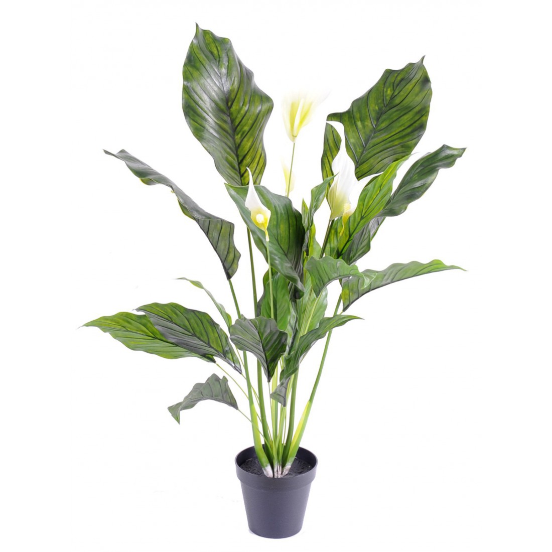 Spathiphyllum artificiel plast 80 cm - plantes artificielles