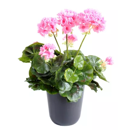 piquet Géranium artificiel rose 40 cm en pot
