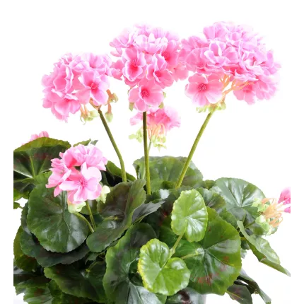 fleurs piquet Géranium artificiel rose 40 cm