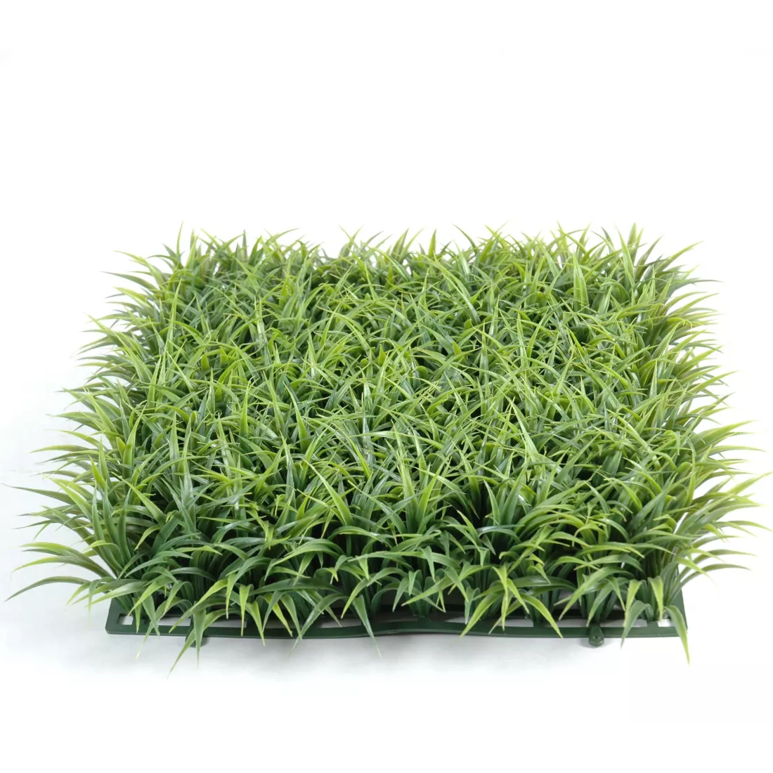 Bütic GmbH Plaque De Plantation En Verre Acrylique Avec Double Coin