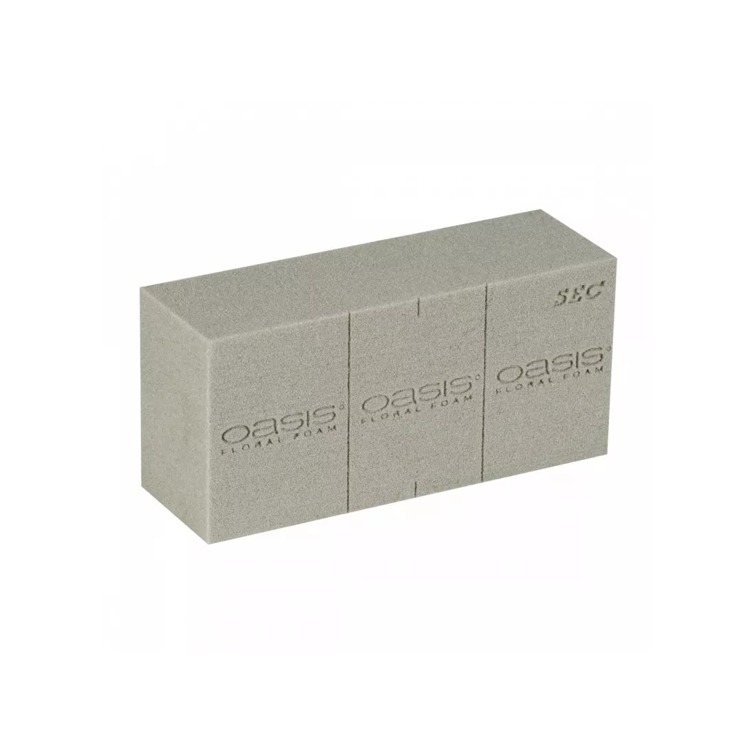 Support Floral Cylindrique Blocs Mousse Florale Humide FINGOOO - Cylindres Pour Arrangements Fleurs Fraîches Bloc Cylindrique Fleuriste Support Floral Cylindrique Blocs Mousse Florale Humide FINGOOO - Cylindres Pour Arrangements Fleurs Fraîches Bloc Cylindrique Fleuriste
