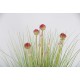 HERBE Allium artificielle 68 cm