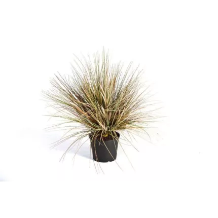 ONION GRASS artificiel AUTOMNE 60 cm