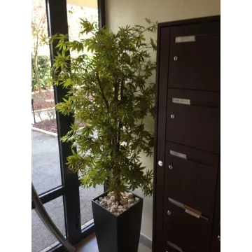 ERABLE artificiel DE LUXE (Aralia)  150 et 180 cm gold dans une entrée d'immeuble