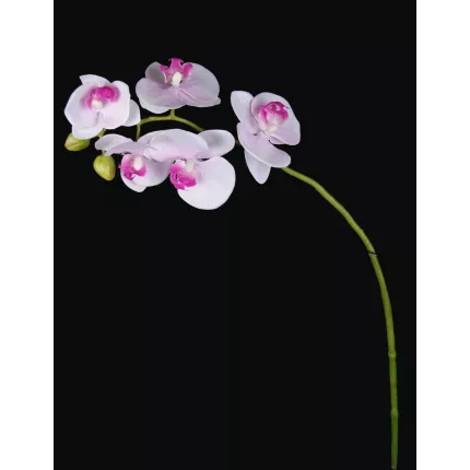 PHALAENOPSIS artificielle tombante  66 cm