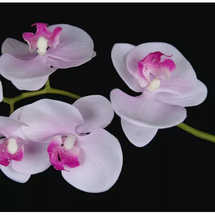 PHALAENOPSIS artificielle tombante  66 cm