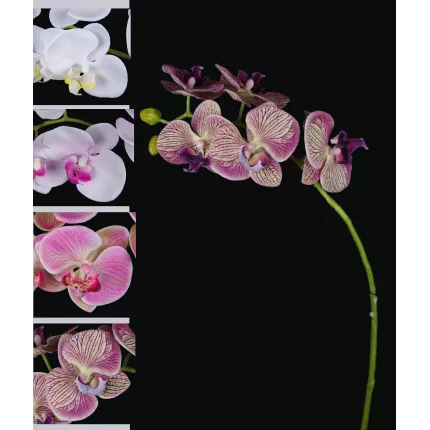 PHALAENOPSIS artificielle tombante  66 cm