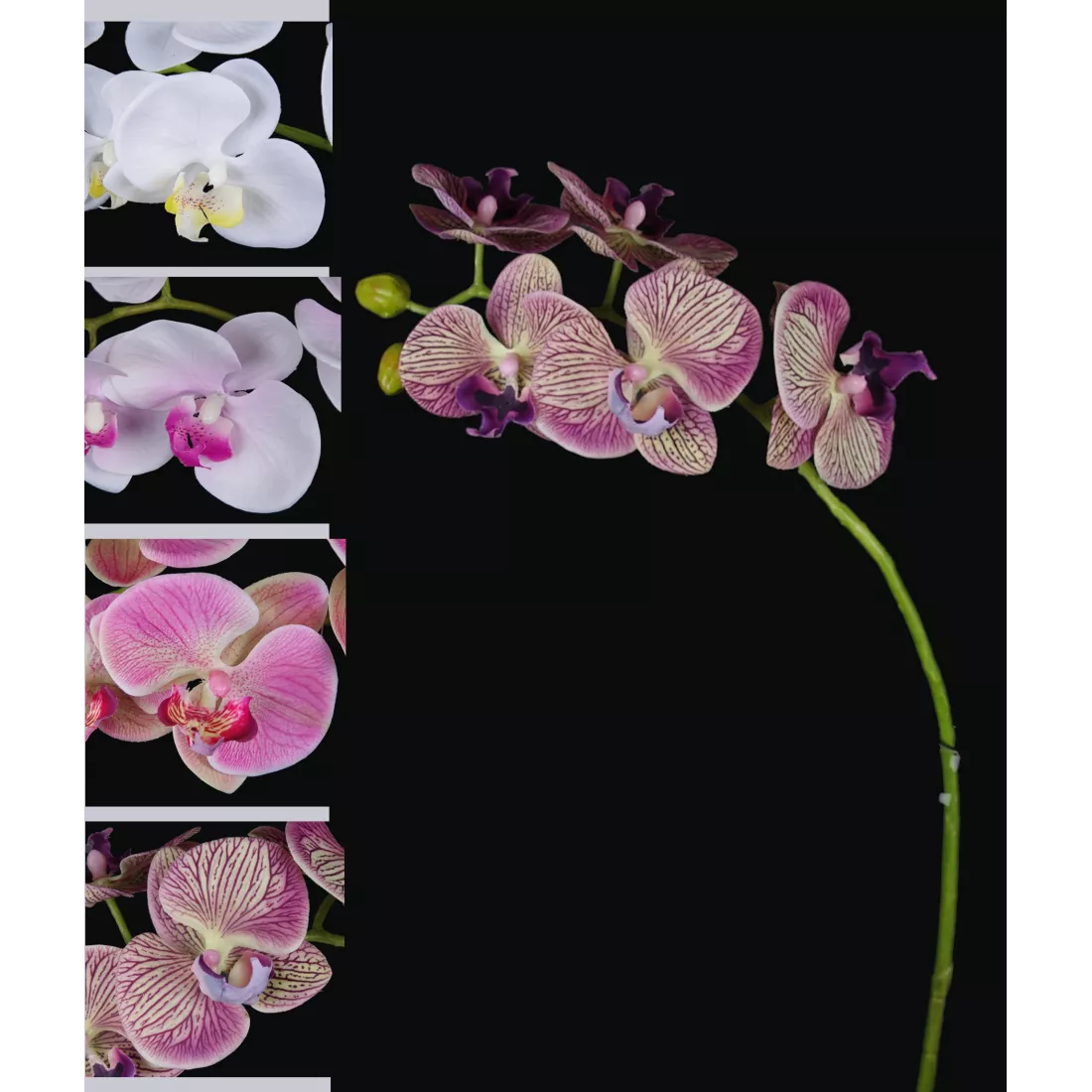 Orchidées Artificielles Calcifer 8 Têtes - Soie Et Plastique 78,7 Cm - Déco Maison éternelle