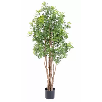 ARALIA artificiel MING NITIDA  150 cm