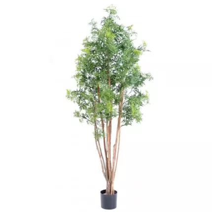 ARALIA artificiel MING NITIDA  180 cm