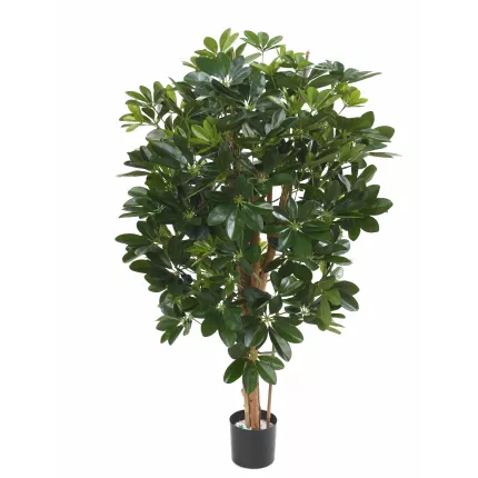 SCHEFFLERA artificiel 110 et 150cm vert et vert/jaune