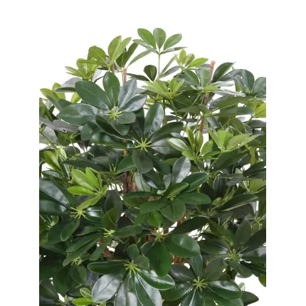 SCHEFFLERA artificiel 110 et 150cm vert et vert/jaune