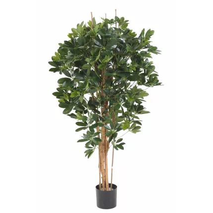SCHEFFLERA artificiel 110 et 150cm vert et vert/jaune