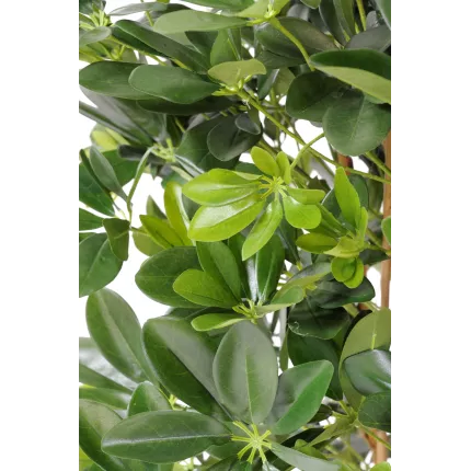 SCHEFFLERA artificiel 110 et 150cm vert et vert/jaune