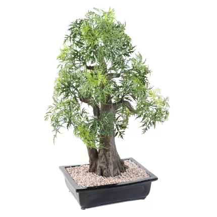 BONSAI artificiel ARALIA 80 cm