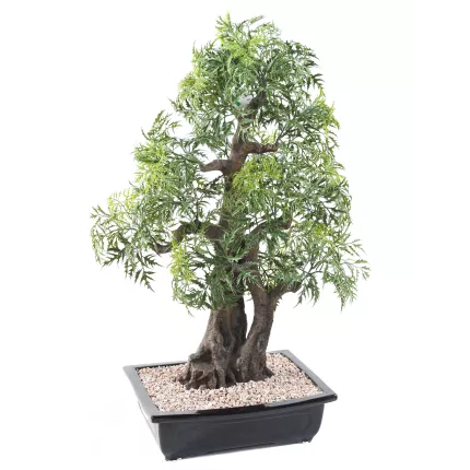 BONSAI artificiel ARALIA 80 cm de dos