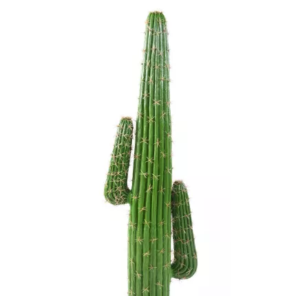 tronc CACTUS artificiel MEXICO 140 cm