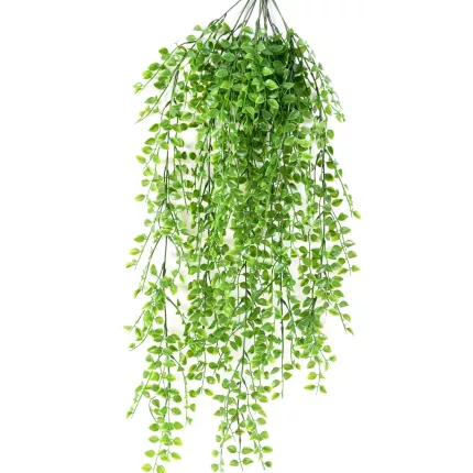 CALLISIA  plastique 80 cm