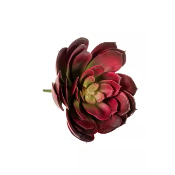 ECHEVERIA artificiel diam 23 cm