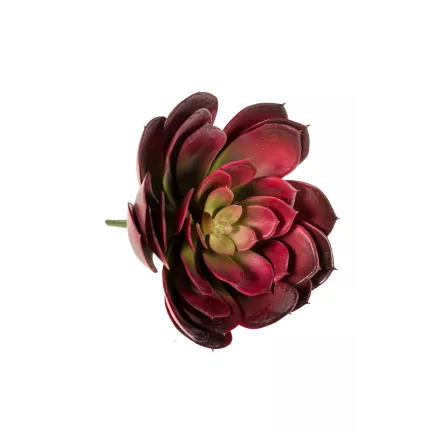 ECHEVERIA artificiel diam 23 cm