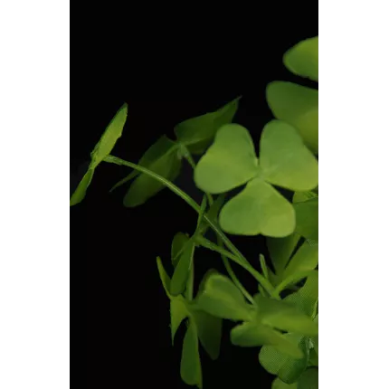 trefle-oxalis-artificielle-en-pot-25-cm